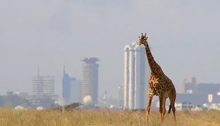 Kenya