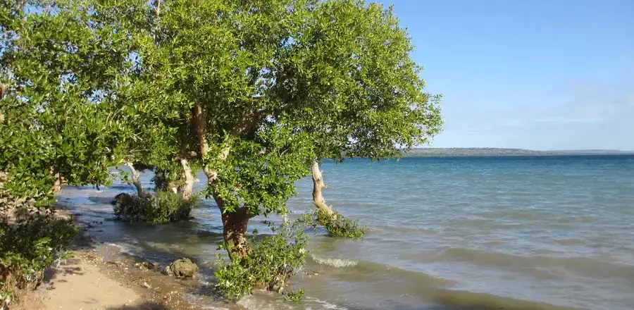 Mozambique