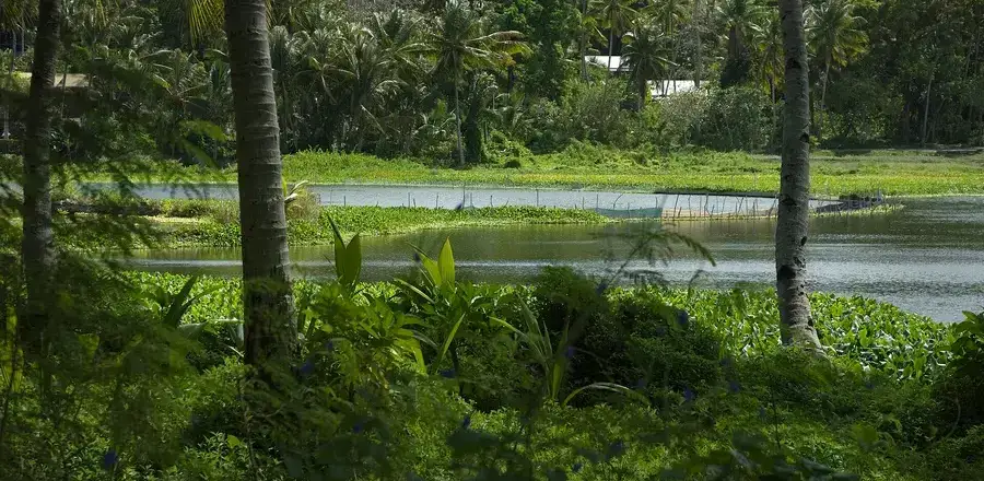 Nauru